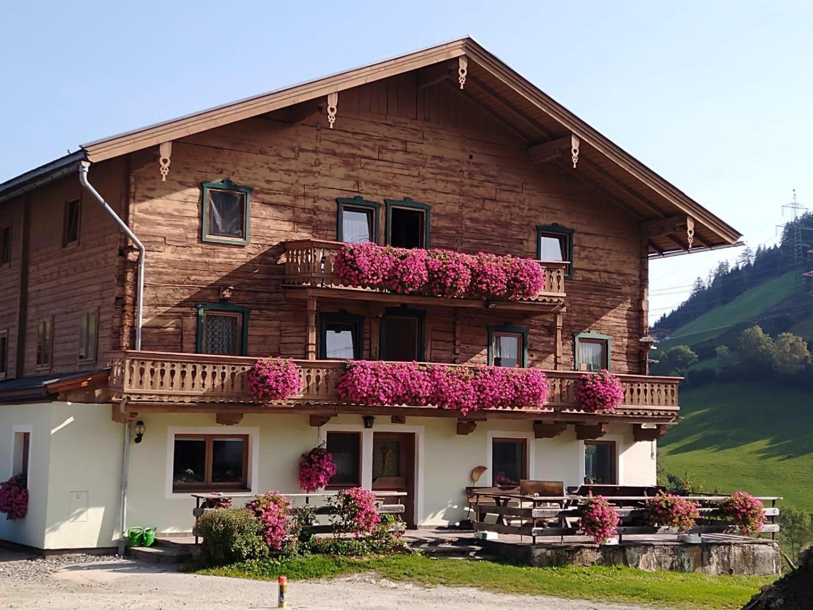 Villa Hintergugg à Mittersill Extérieur photo